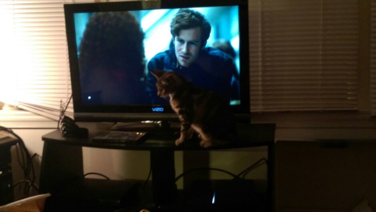 wp-1413000310092 image