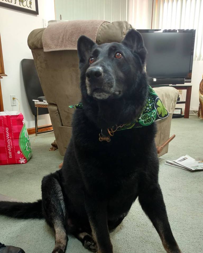 17191019_10100173589134486_1016104034882616793_n