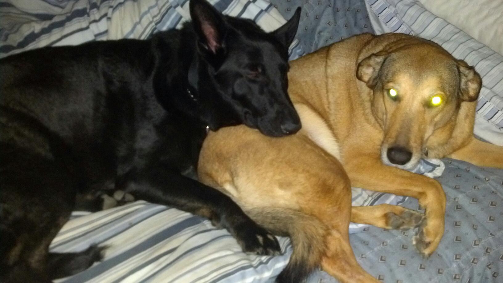 280779_669407042466_1444293402_o