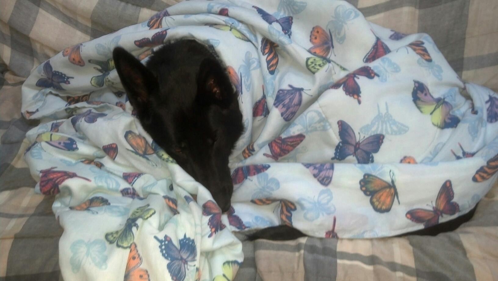 478249_661754268686_819167876_o