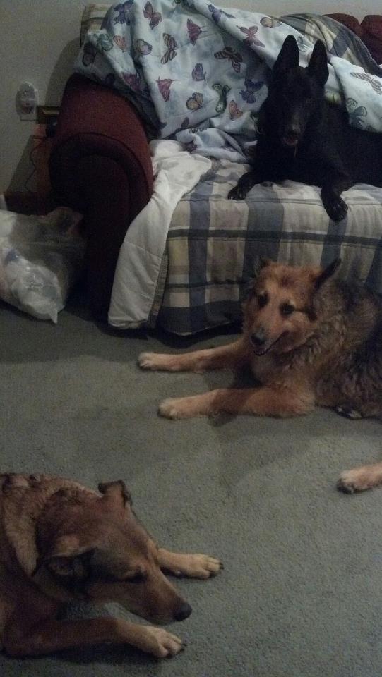 536116_649587760466_753849370_n